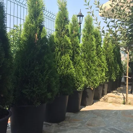 Terazini 3* Veliko Tarnovo