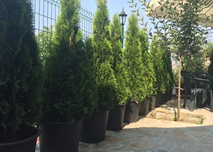 Terazini 3* Veliko Tarnovo